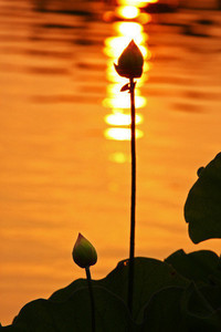 开云体育app-曼城对阵热刺，英超豪门争夺胜利