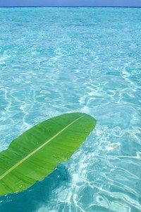 开云体育修改登录密码-强劲对手来袭，球队备战全力迎战