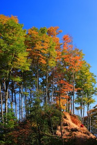 开云体育下载-建业客场战胜上港，缓解中超保级压力