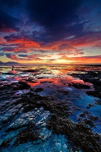 开云体育下载-建业客场战胜上港,缓解中超保级压力
