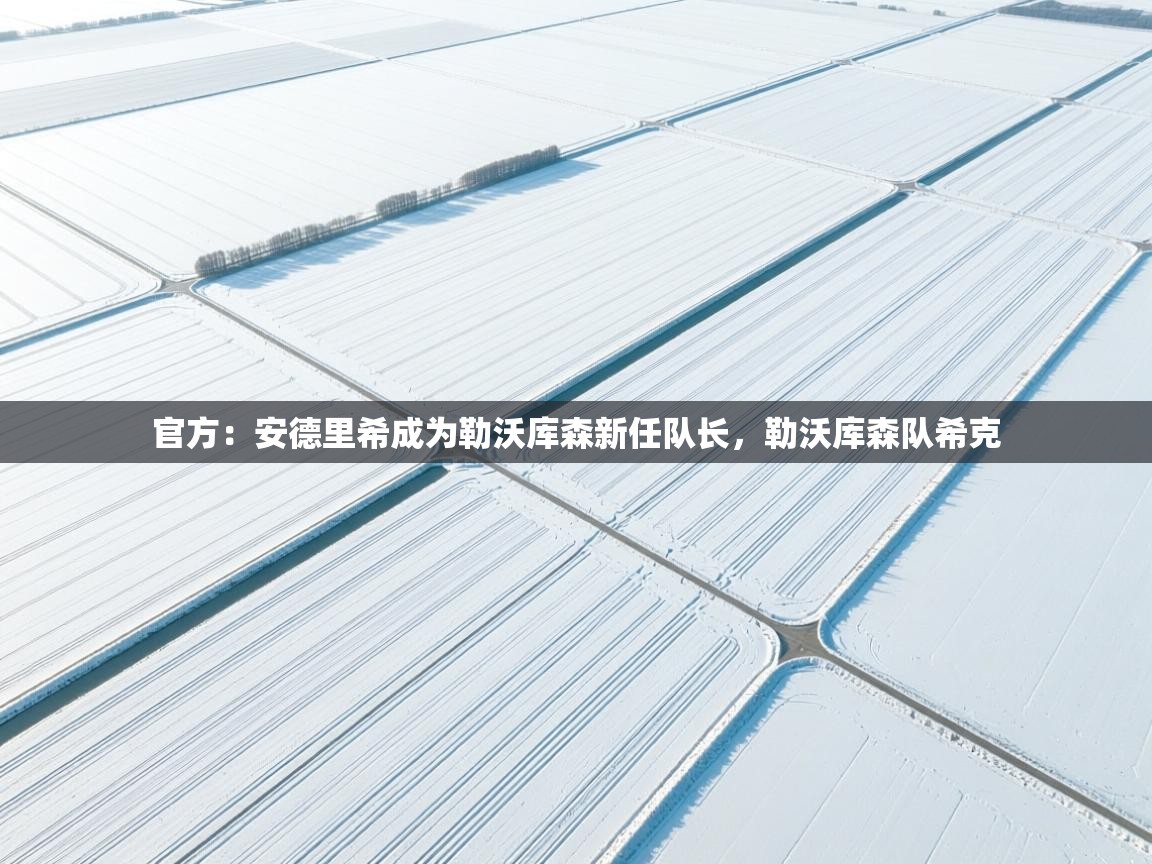 开云体育入口注册-官方:安德里希成为勒沃库森新任队长,勒沃库森队希克 第1张