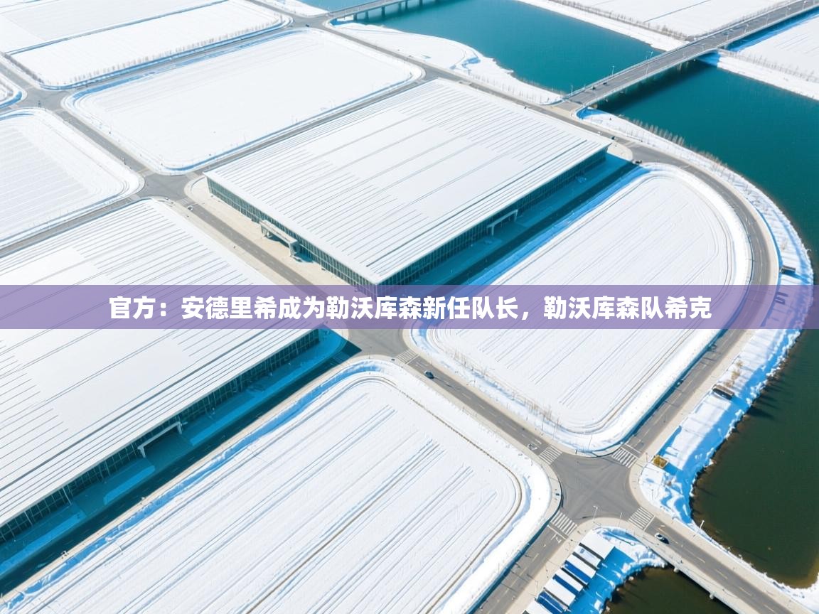 开云体育入口注册-官方:安德里希成为勒沃库森新任队长,勒沃库森队希克 第2张