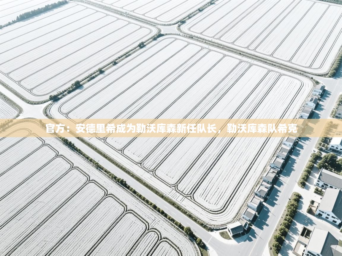 开云体育入口注册-官方:安德里希成为勒沃库森新任队长,勒沃库森队希克 第3张