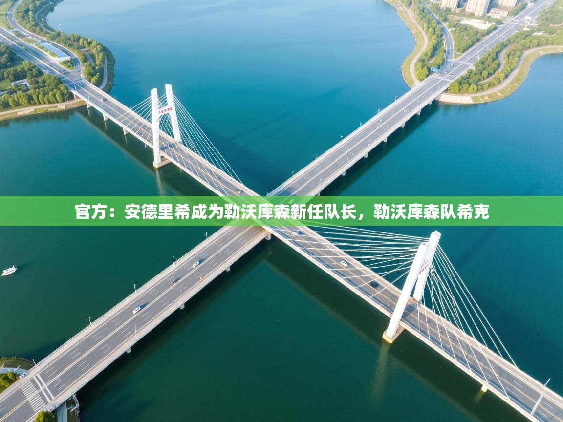 开云体育入口注册-官方:安德里希成为勒沃库森新任队长,勒沃库森队希克 第4张