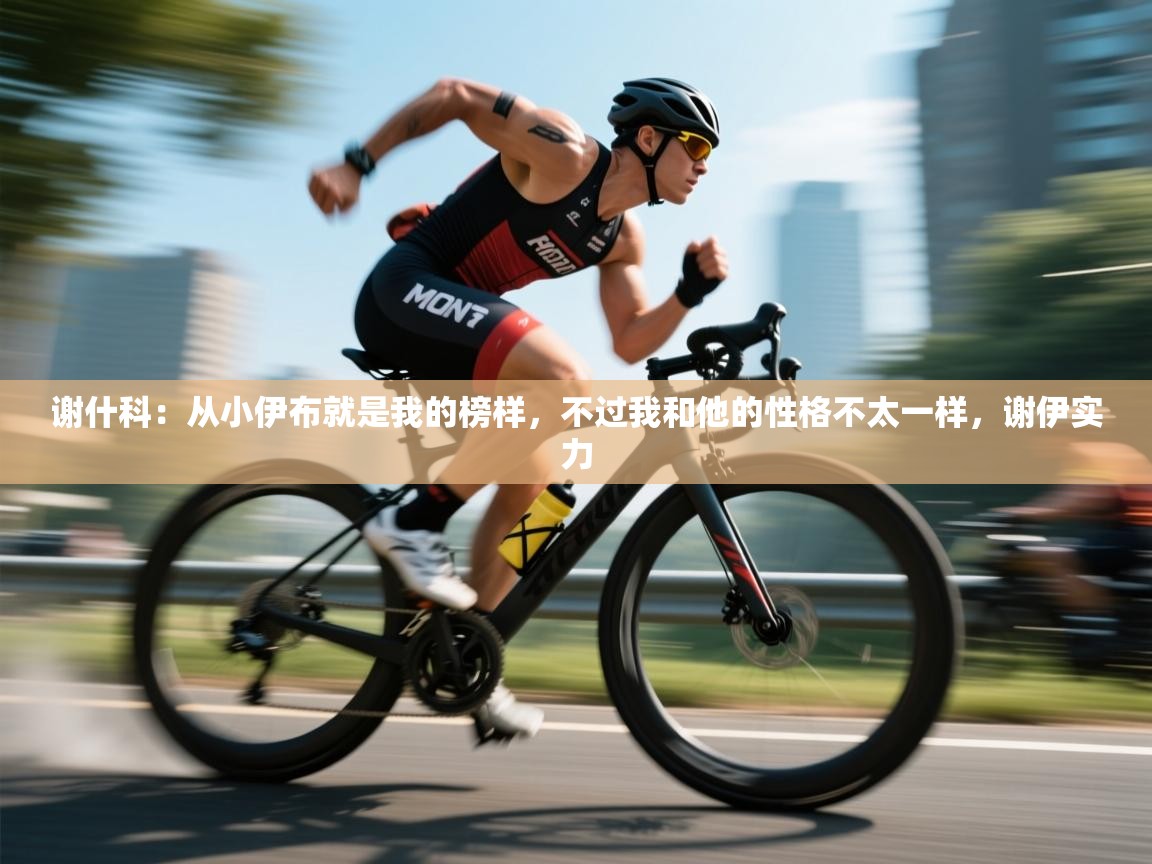 开云体育app官网入口-谢什科：从小伊布就是我的榜样，不过我和他的性格不太一样，谢伊实力  第2张