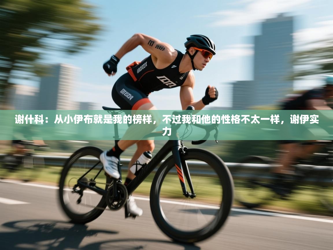 开云体育app官网入口-谢什科：从小伊布就是我的榜样，不过我和他的性格不太一样，谢伊实力  第4张