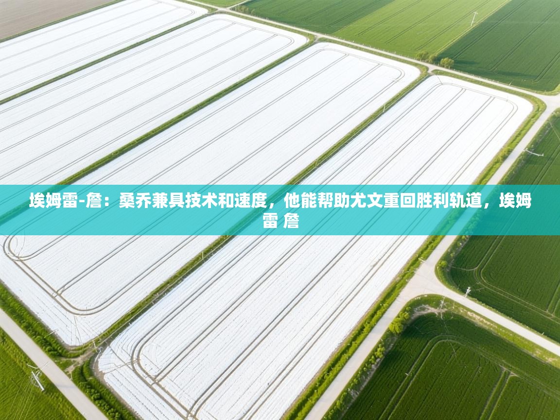 开云体育多语言中文版-埃姆雷-詹：桑乔兼具技术和速度，他能帮助尤文重回胜利轨道，埃姆雷 詹