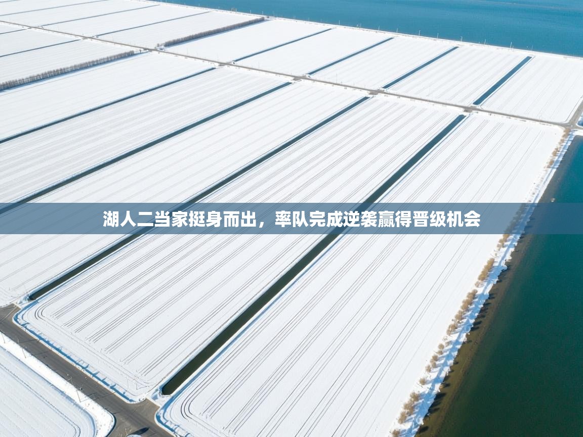 开云下载-湖人二当家挺身而出，率队完成逆袭赢得晋级机会  第2张