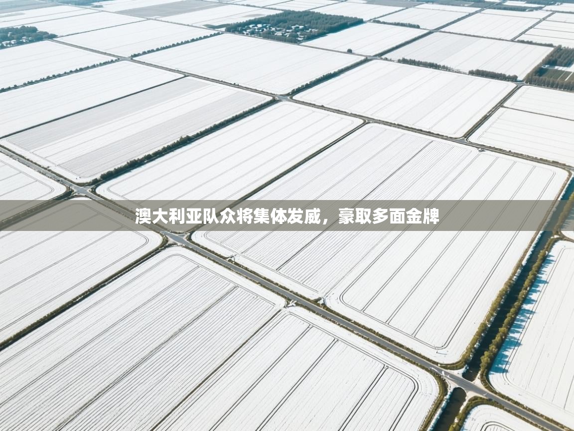 开云体育app下载安装免费-澳大利亚队众将集体发威,豪取多面金牌 第3张