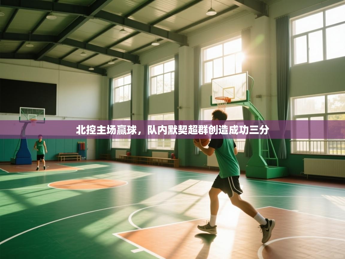 开云体育极速下载镜像-北控主场赢球，队内默契超群创造成功三分